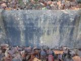 image of grave number 365077